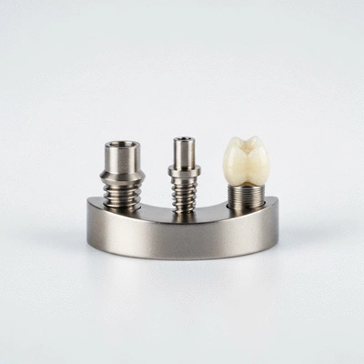 Close-up of a dental implant model showing the three components: implant, abutment, and crown, on a sterile background